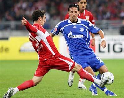 场的多样化 场的多样化